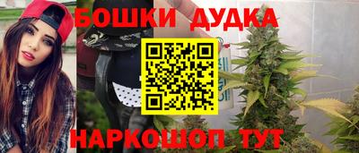 хмурый Аша
