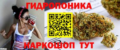 хмурый Аша
